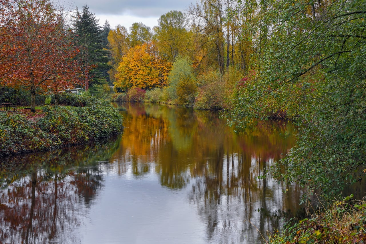 Bothell inception-app-prod/NDQyNWNkYzQtOTRhYi00NWNiLTg0MDAtOWU1NjNjNjg1NDZm/content/2021/11/344c2ba708217beb3921752ba9b39fc1bdd25cfd.jpg