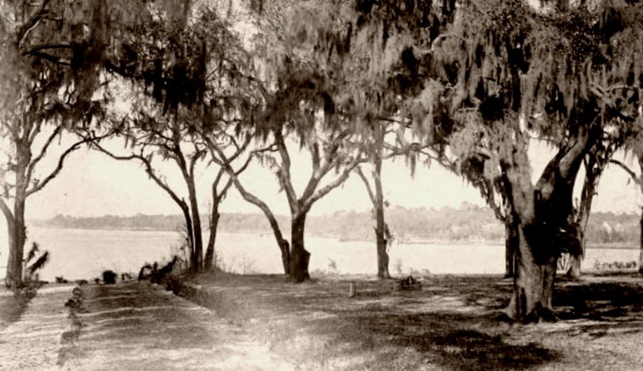 St. Nicholas / Sans Souci inception-app-prod/NjQzZWI1MGYtMjg5My00ZDRjLTkzODQtMWI2ZTc2ZjgyNDAz/content/2021/06/arlington-river-view-from-st-nicholas-1895.jpg