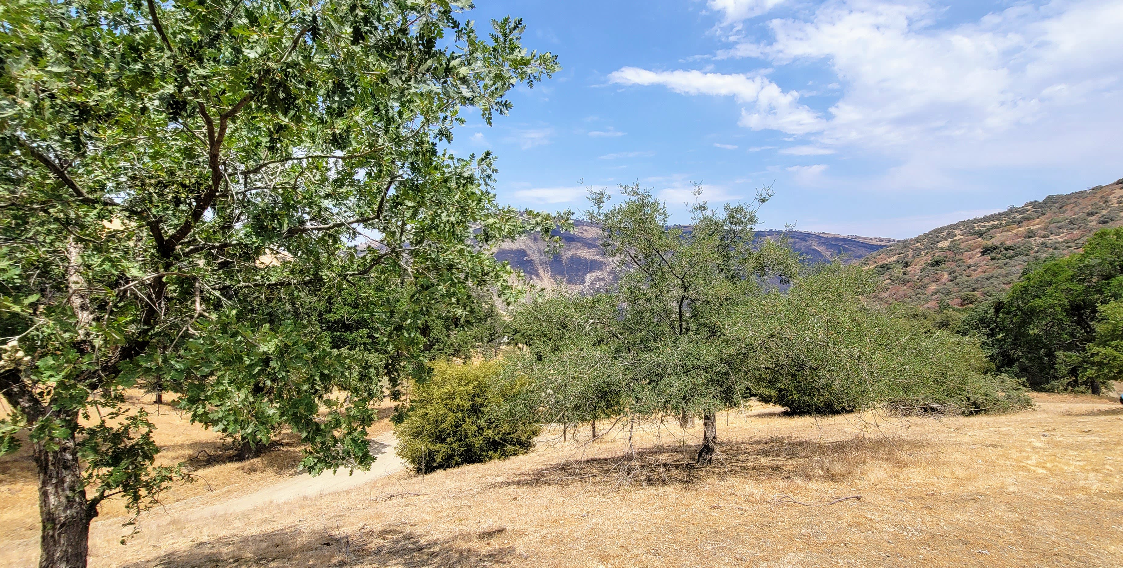 Digier Canyon inception-app-prod/MWY2M2I3MzQtZmJkMC00MWQ0LWJiNTktZWExZTc4YjBlZjRk/content/2021/07/20210713_134917.jpg