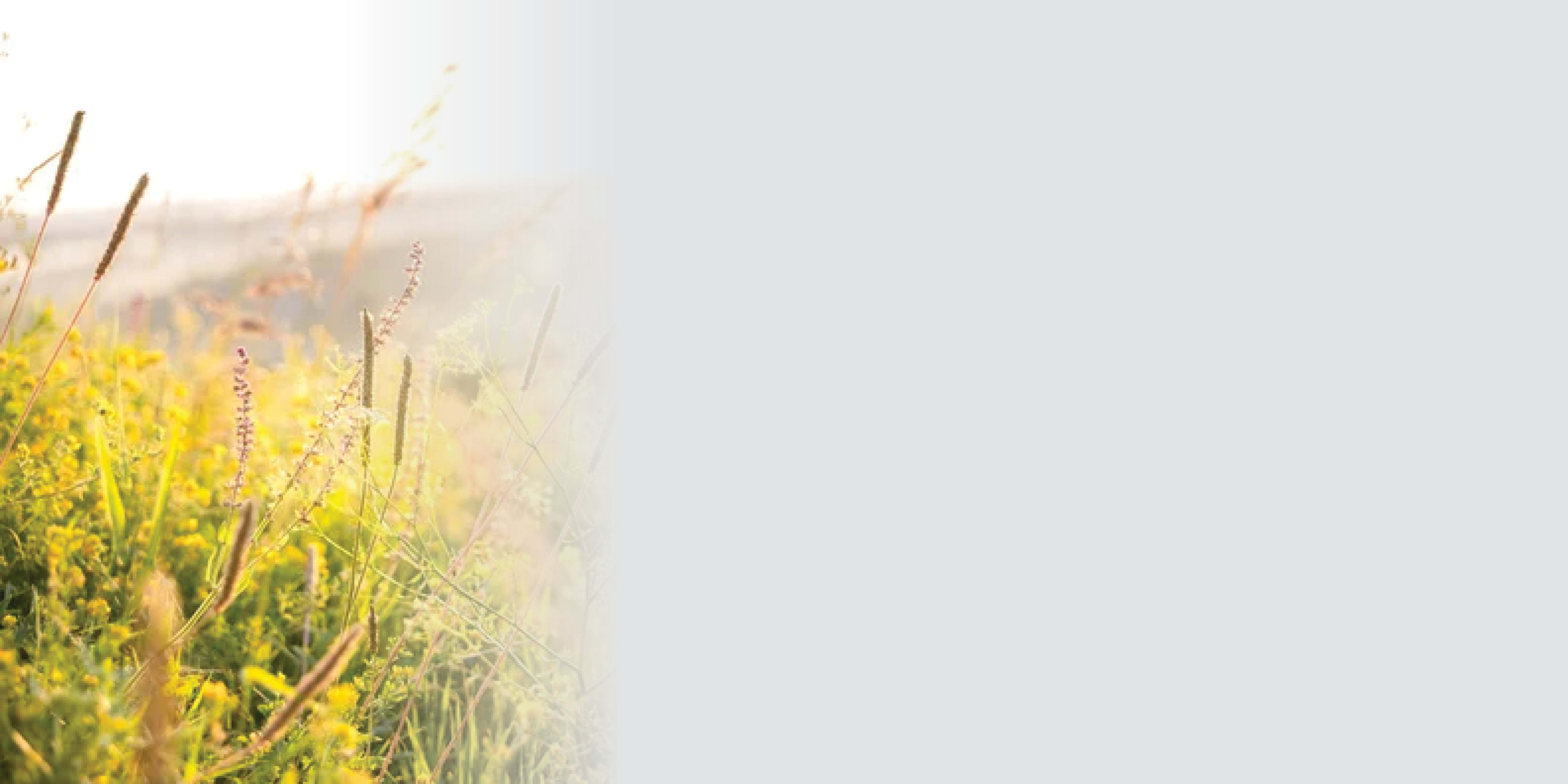 inception-app-prod/MTVkODk2NzktMTc2Yy00NjUzLWI4NGMtMGIzYTFlYjUwOTIz/content/2025/09/b1cdbc79961fba75d10cc00c4b3aedf9be3ede43.jpg?background_removal=true