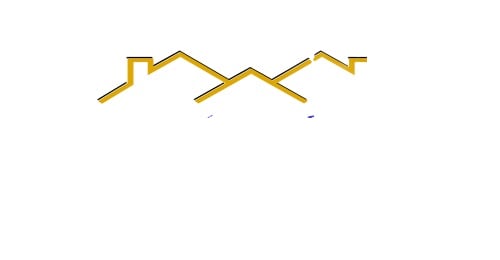 Solution 1 Realty LLC logo