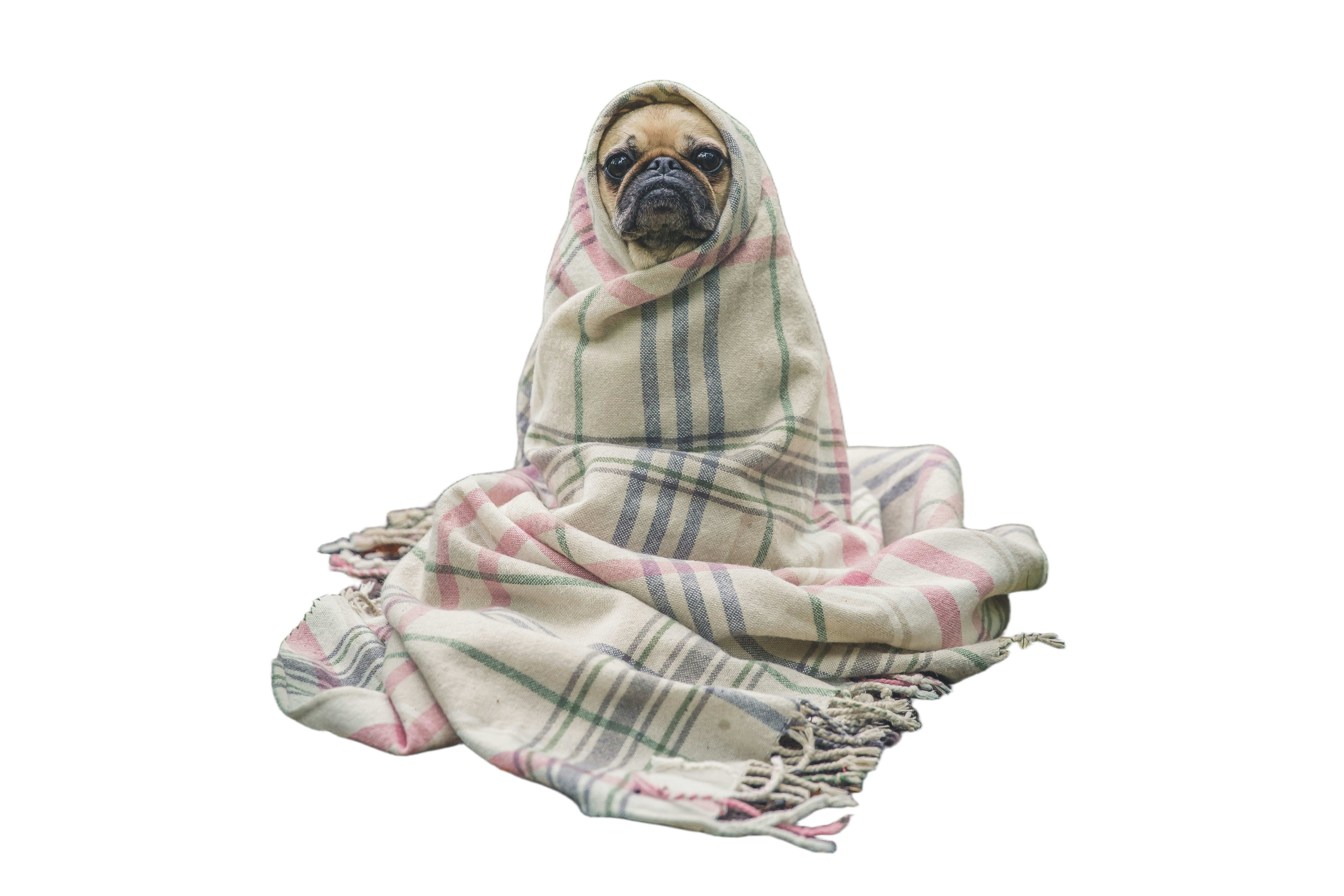 inception-app-prod/OWFlMjBiZWYtNDIxZS00OWZiLTgxNGQtZWQ5YzJhZGM4MWZl/content/2026/01/8358fbe3eab992ab60cbb42d528a3076bcd1551b.jpg?background_removal=true