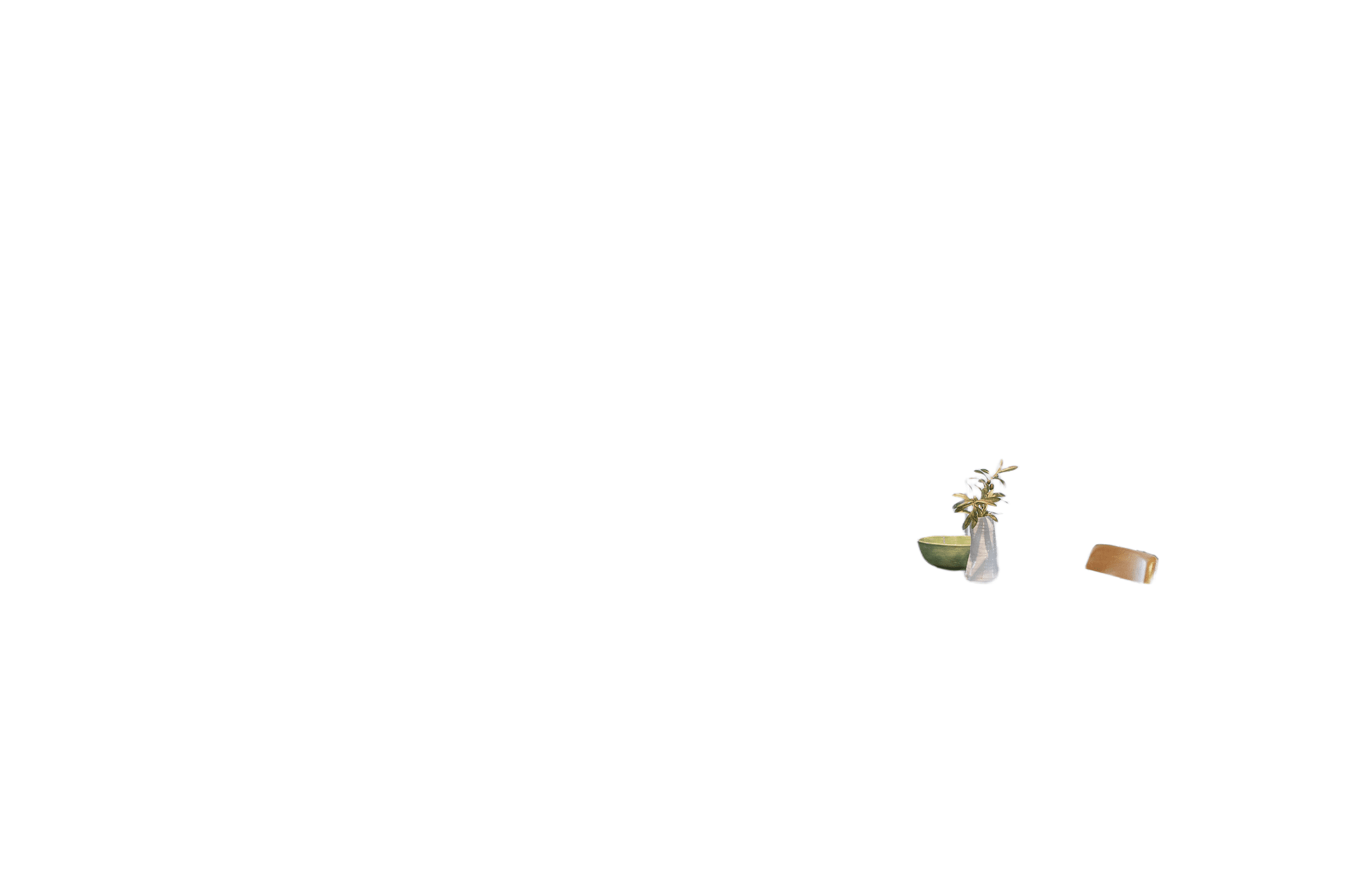 inception-app-prod/ZWE5ZDdjMGYtMjAzOS00NTc4LTk4MzYtNjg0MWFlODlhNDBj/content/2026/03/797f3624f47bbb72821c7d8bddda5f44541ce3bd.jpg?background_removal=true