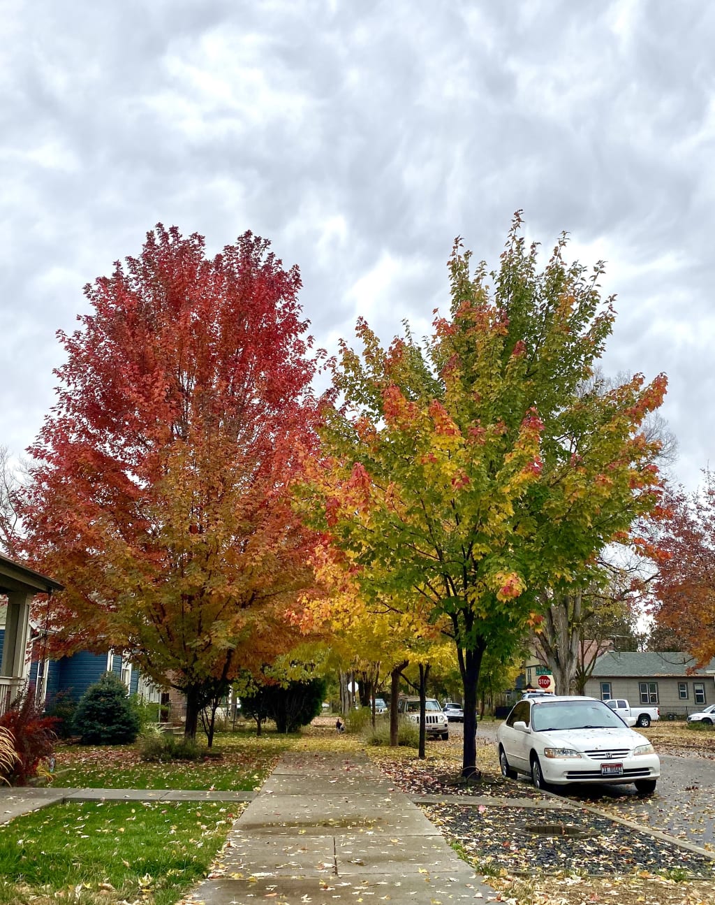 Fall Is a Great Time to Sell Your House inception-app-prod/MDRiYTdlMGQtYzNkNC00OGUzLWFjNmEtZjQyN2QxZTdjYTU2/content/2019/10/img8292-2.jpg