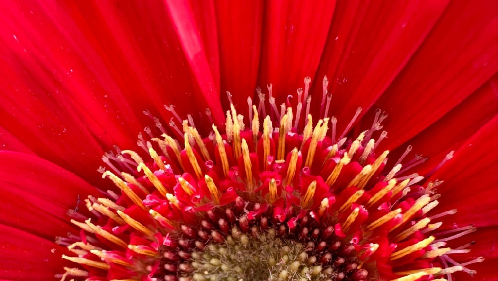 Simple Electrical Safety Tips! inception-app-prod/MDRiYTdlMGQtYzNkNC00OGUzLWFjNmEtZjQyN2QxZTdjYTU2/content/2025/10/26ef96ace2d2a8fa7381f7475e426d893e26442c.jpg