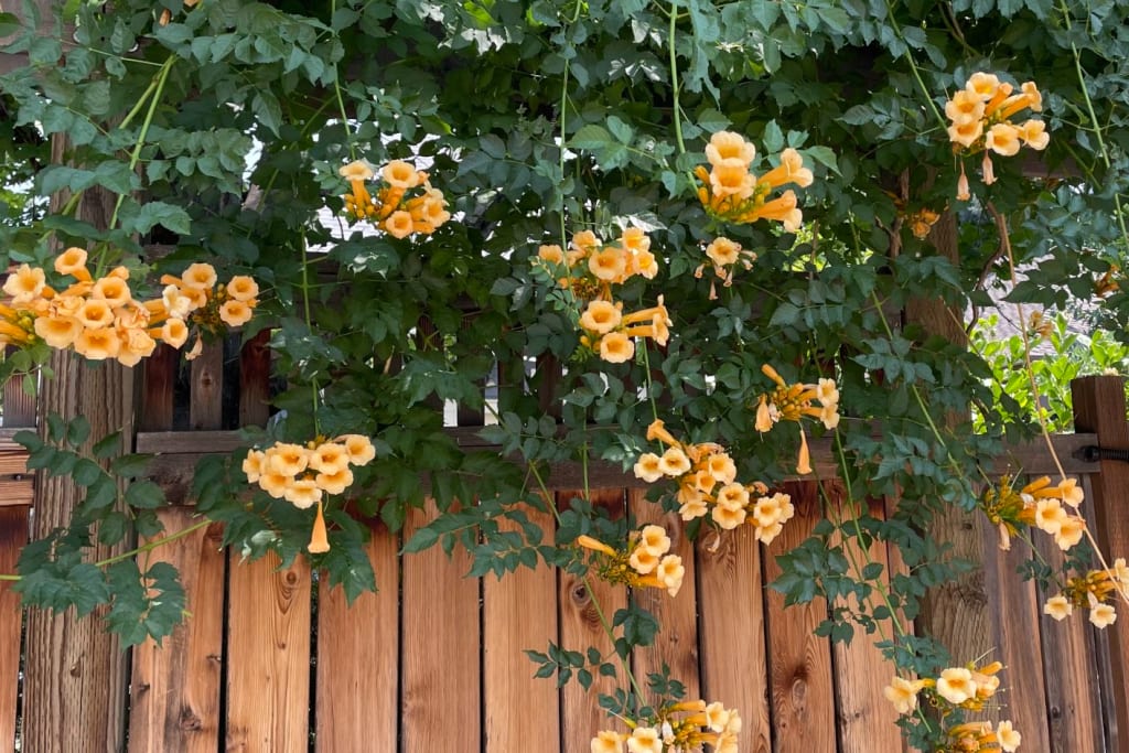 Becoming Your Economist of Choice inception-app-prod/MDRiYTdlMGQtYzNkNC00OGUzLWFjNmEtZjQyN2QxZTdjYTU2/content/2025/11/71949a0b4ef07089c2a63c5b58a8295da7547566.jpg