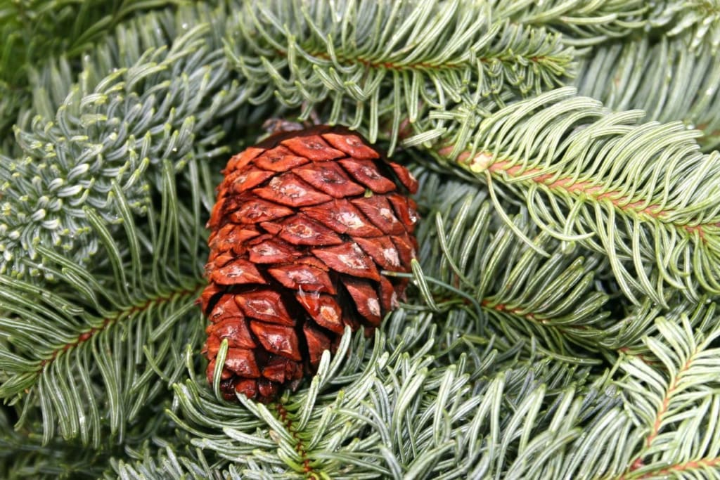 Common Seller Price Confusion inception-app-prod/MDRiYTdlMGQtYzNkNC00OGUzLWFjNmEtZjQyN2QxZTdjYTU2/content/2025/11/7363954b8e83e665e84ff2850b3d1a00c465b3d6.jpg