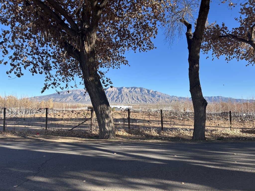 Corrales NM Homes & Living Guide inception-app-prod/MDYwMjNjNTItNTI1OS00ODU4LWI0YzQtNjIxMzAyNTAxMjQ5/content/2026/01/066d620b1627484f9a52f78458bfda7aa3d51666.jpg