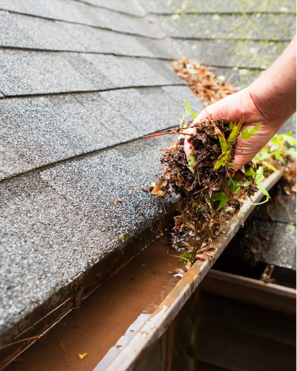 10 Mid-Summer Home Tasks You’ll Be Glad You Did Before August inception-app-prod/MDg3ZWU4OGQtYmNiMi00MmE4LWEwNjAtOTQyOWNjNDY4ZDNk/content/2026/07/1de8329b1f170e6d80653d5c244cc2408ea9d9c8.png