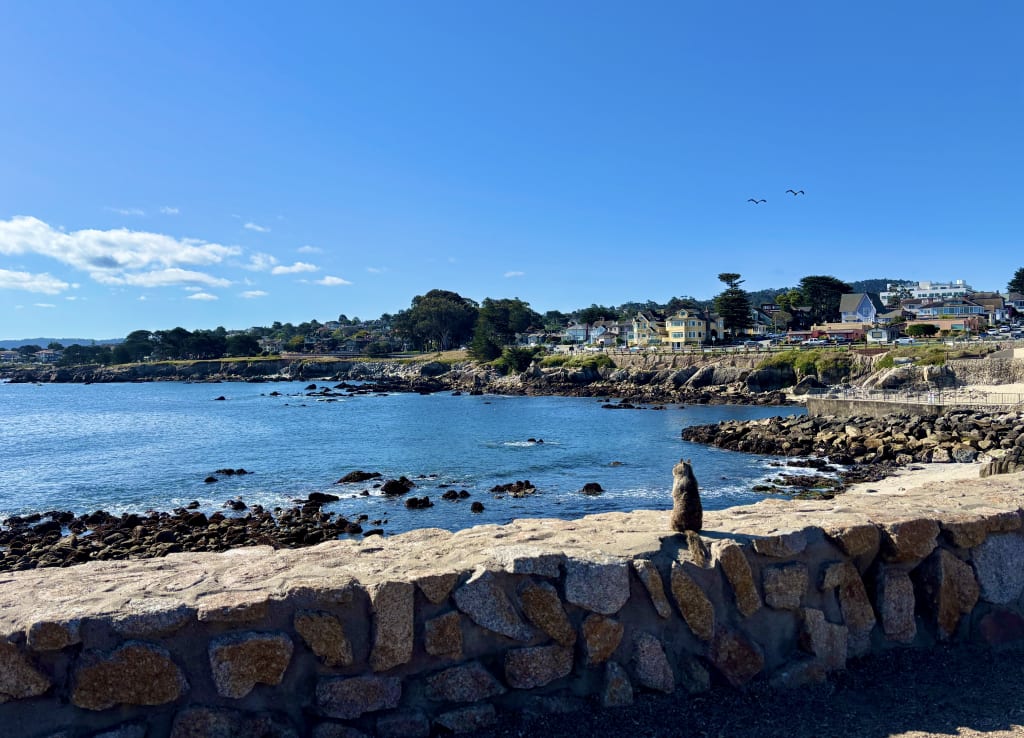 Why September May Be the Best Month to Live on the Monterey Peninsula inception-app-prod/MGY0OThiMGMtMzcyOS00YWM4LWJiNGItNmE5MDFhM2I0NTgx/content/2026/08/3544f593fc4a229cda1fcf21bb70656d4a445705.jpg