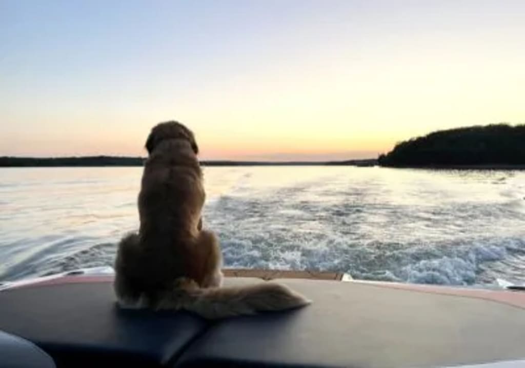 Beautiful Lake Brownwood inception-app-prod/MGZjZjQ4ZTgtMWZlNi00YTFhLTg5MjQtN2ZkZGEyNmNmNmU1/content/2024/10/a42253cf7a4480d07a36d6f6d86f1661bccbf08d.jpg