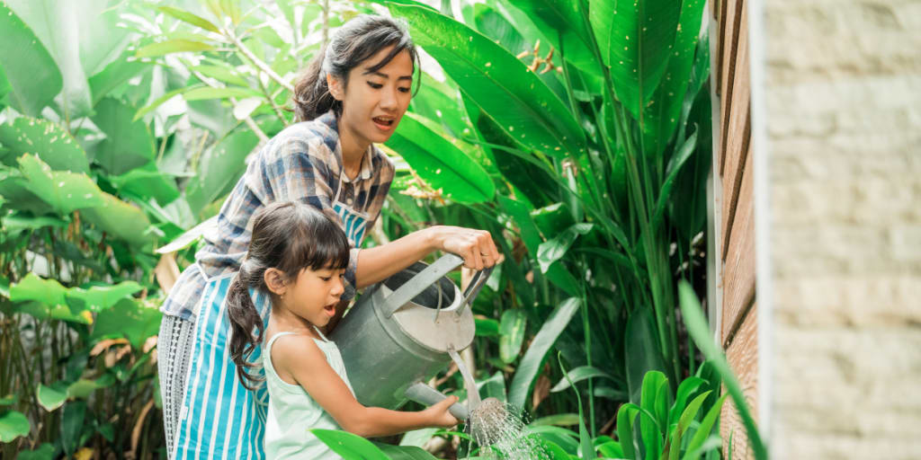 TIPS FOR HYDRATING PLANTS inception-app-prod/MTJjMTc4YzEtY2JiYS00MTdlLWFjZDQtMDg0MGY1NDg2Mjc0/content/2023/08/782010d7c868b4f67011fdabbe36d08d8f21d27c.png