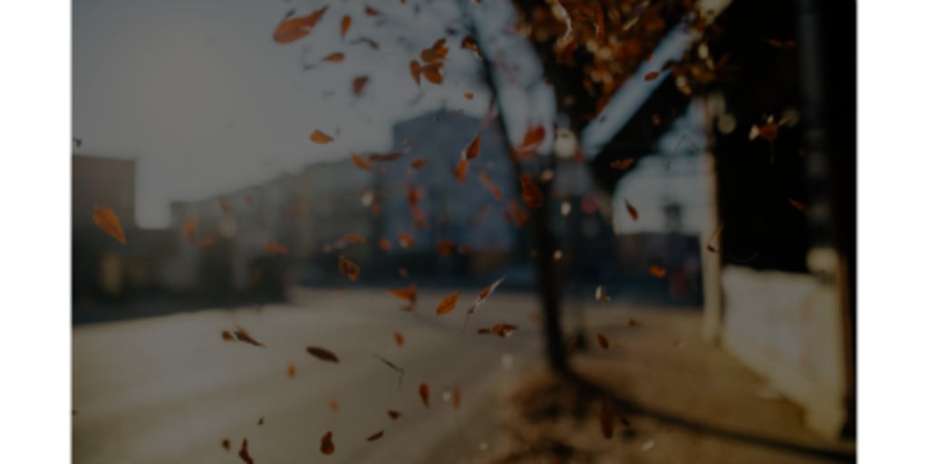 Fall Buying & Selling Tips inception-app-prod/MWRlM2Y1MWYtZDM3ZS00OWFjLWExMDMtMzliNmRmYjhiNjFm/content/2025/09/8d87c0ffe53f9a01a06c8d3353b00996deab1f7e.png