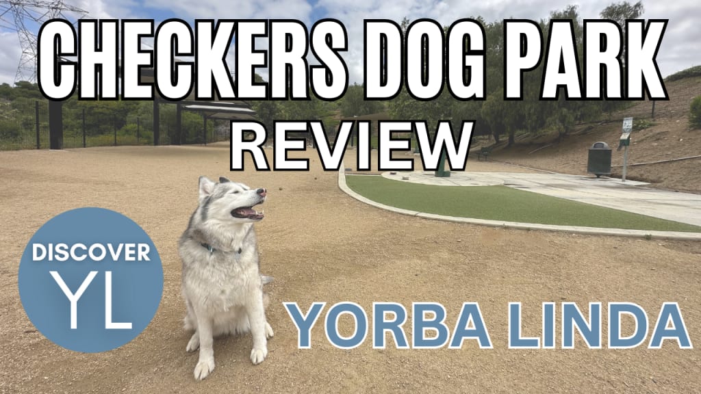 Interview with the Yorba Linda Home Consignment Center Your Local