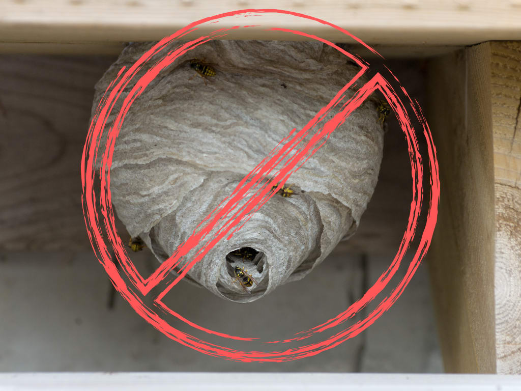 Enjoy Nesting Without The Nests inception-app-prod/NDI2ZDBlYzAtMjg0OC00Yjc0LTg1ZTUtYTc4MWU0YzhlZjY5/content/2025/06/f94b0fef46cb170b6073c21c6bd81e22041ce76b.png