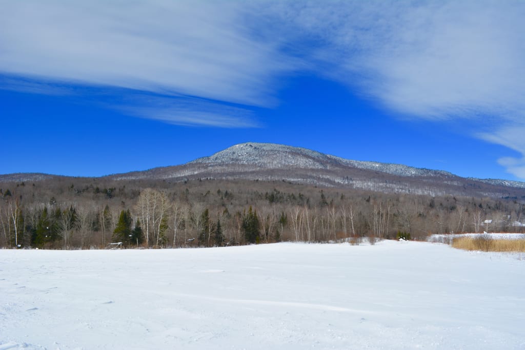 New Lake Elmore Listing: $150,000 inception-app-prod/NTNmMTNhNjQtNDQ0Ni00Zjg0LTliOTQtNDNkYmM3Y2JiNmQz/content/2018/04/DSC_0170-2.jpg