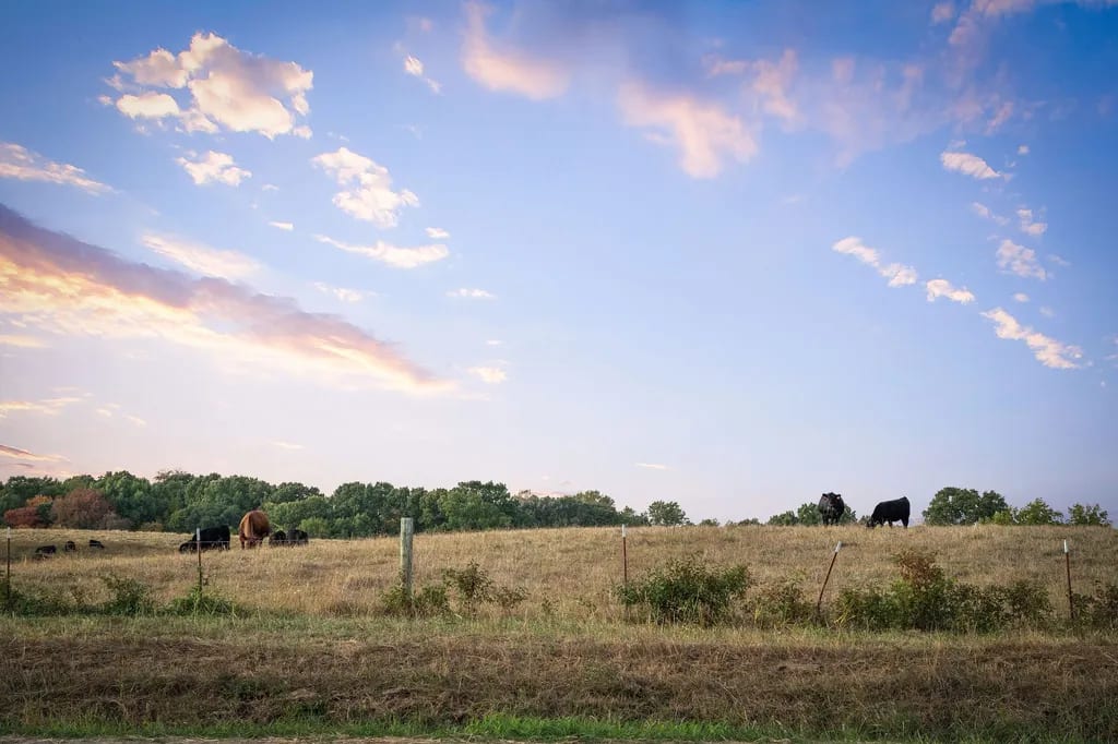 DRAKES COVE inception-app-prod/NTc1NDVjYWQtODczOS00MWViLTkxODMtNDlkM2MzYTk2NzMy/content/2023/03/82bd339ffa17fcb5aa9e021ab0b5ec545475ae77.webp