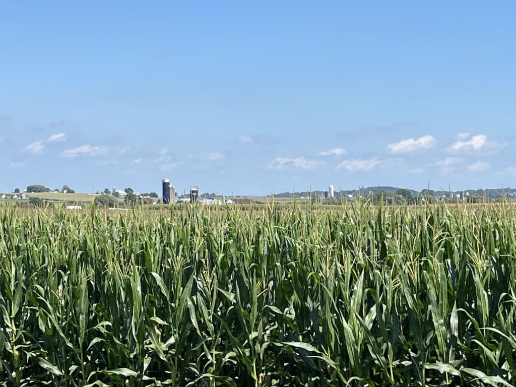 Considering a Move Out of California? How about Kansas? inception-app-prod/NTgxOWI3ZDUtZWI1MS00MjU4LThhNGEtNzhjMGQzN2Q1MjAz/content/2026/06/390d290199ec8ac09222e2c848d58c87d8d4b794.jpeg