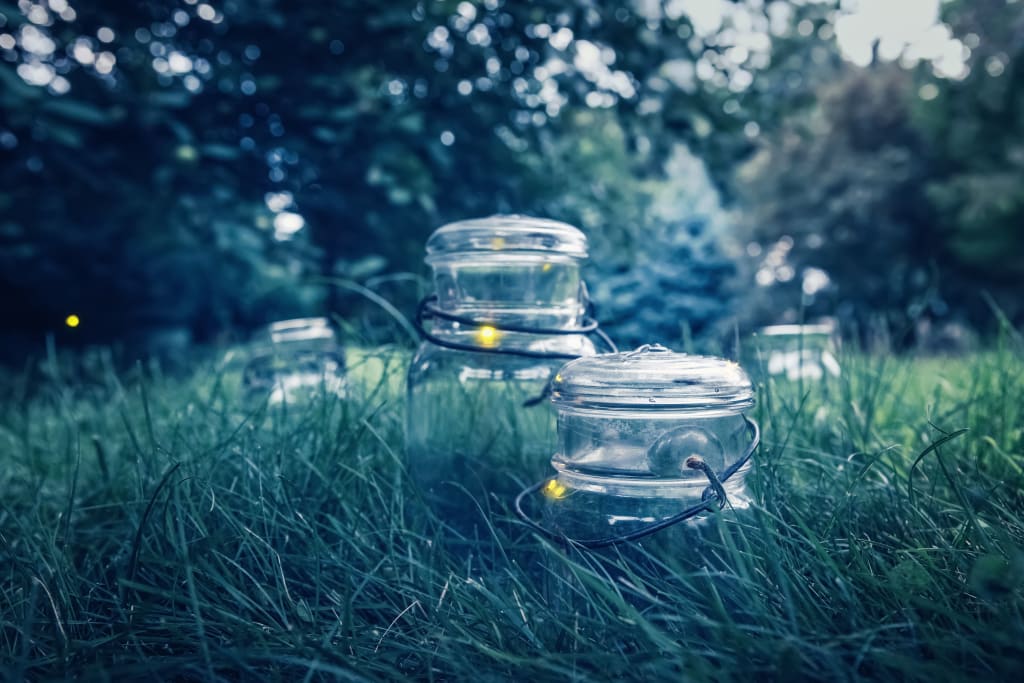 inception-app-prod/NWE0ZjZlZjgtN2Q3OS00ZDI2LWE3NGQtMGU4NTA2ODYzMTJi/content/2019/09/lightening-bugs-in-a-jar.jpg