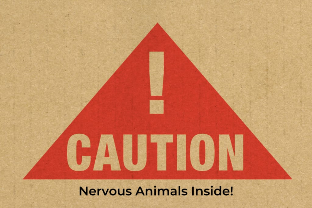 Tips For Moving With Kids Or Pets inception-app-prod/NWE1ODA4YTUtODdiZC00YmVjLTk2NjEtOWE5MzUxMDVlNWRk/content/2023/04/9fe9ac87748c95d8c844c55604a25db4eac54300.png