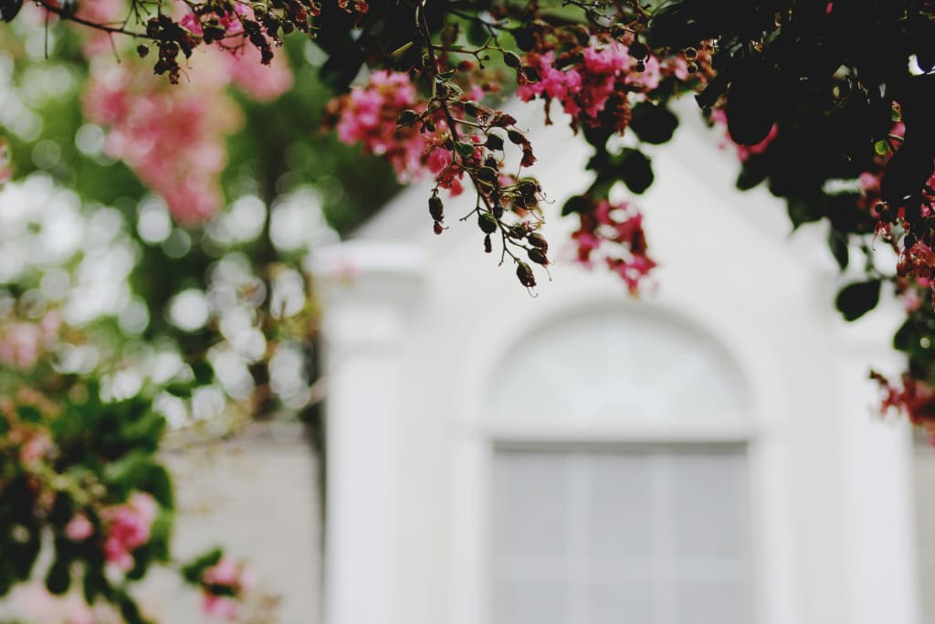 How to Prep Your Home for a Successful Spring Sale in Central Arkansas inception-app-prod/NWIwYjlhMjktY2ZmYy00YmY5LWEzYjQtMmYwMTljZjdmOTkw/content/2026/04/a3186c31f655857a96c0e830e89447aa6ced7ba8.jpg
