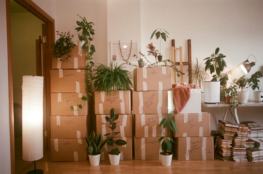 How to Buy and Sell a Home at the Same Time (Without the Stress) inception-app-prod/NWIwYjlhMjktY2ZmYy00YmY5LWEzYjQtMmYwMTljZjdmOTkw/content/2026/04/b66264d3f6184569170792c0b27dbfa293119de1.jpg