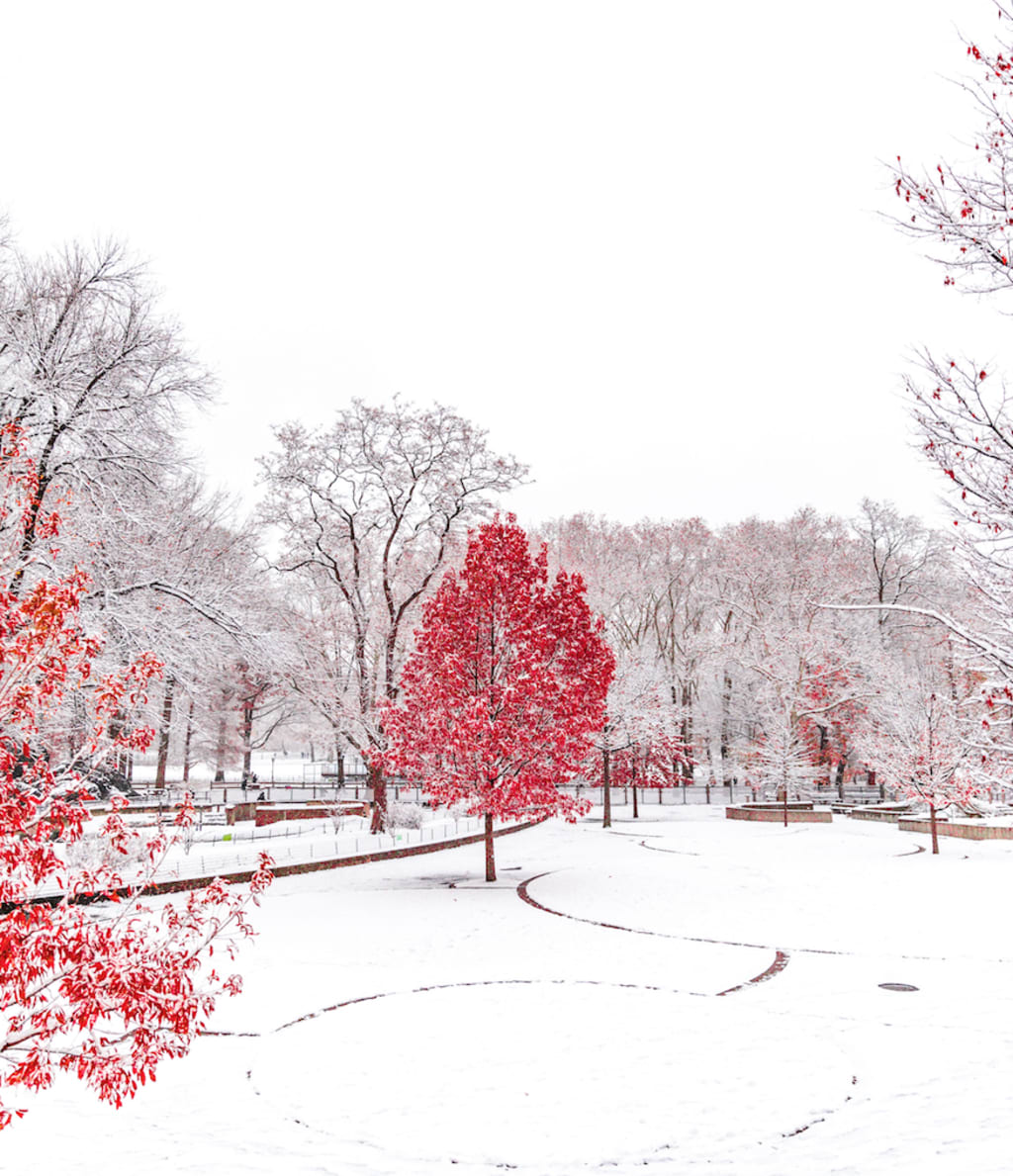 inception-app-prod/NWY2YThmZjAtNzlhYi00NzMwLThiOGUtMWJjOGE4NjFlYzM2/content/2018/08/Screenshot 2018-08-15 09.13.08.png