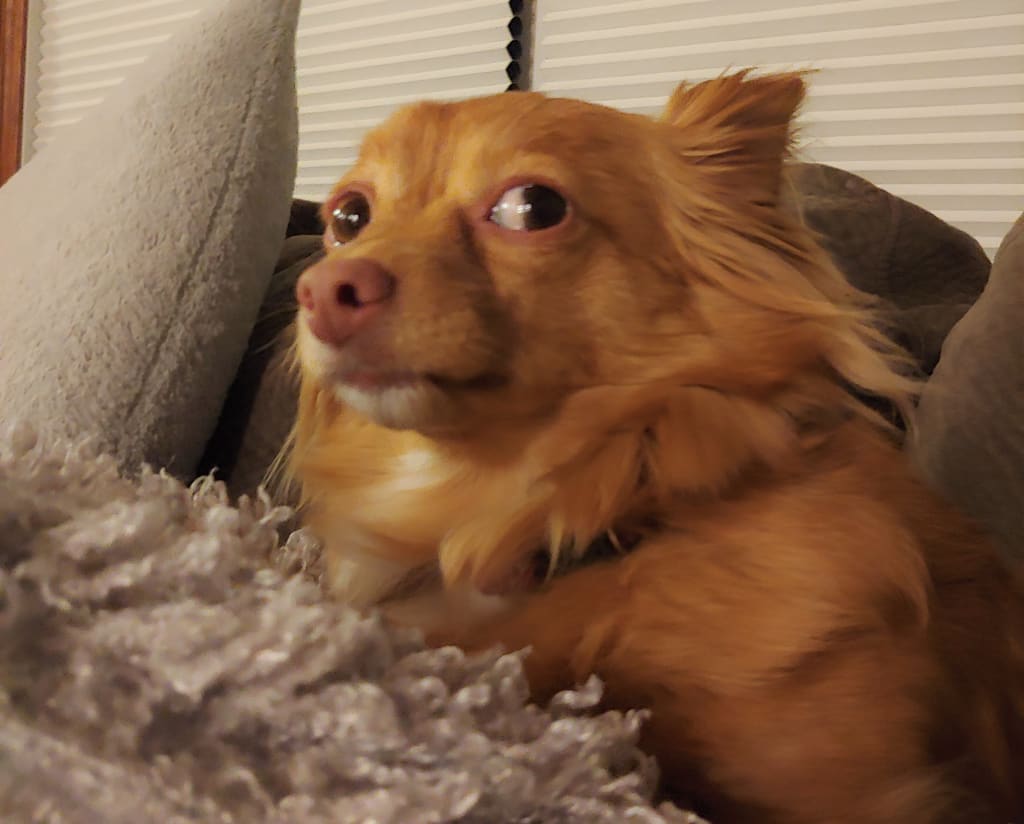 inception-app-prod/NzAwNzhlYTAtN2M1My00OGVlLTkwNGMtYmFjMzdjNTQwNzU2/content/2019/04/20190217_201026 %282%29.jpg