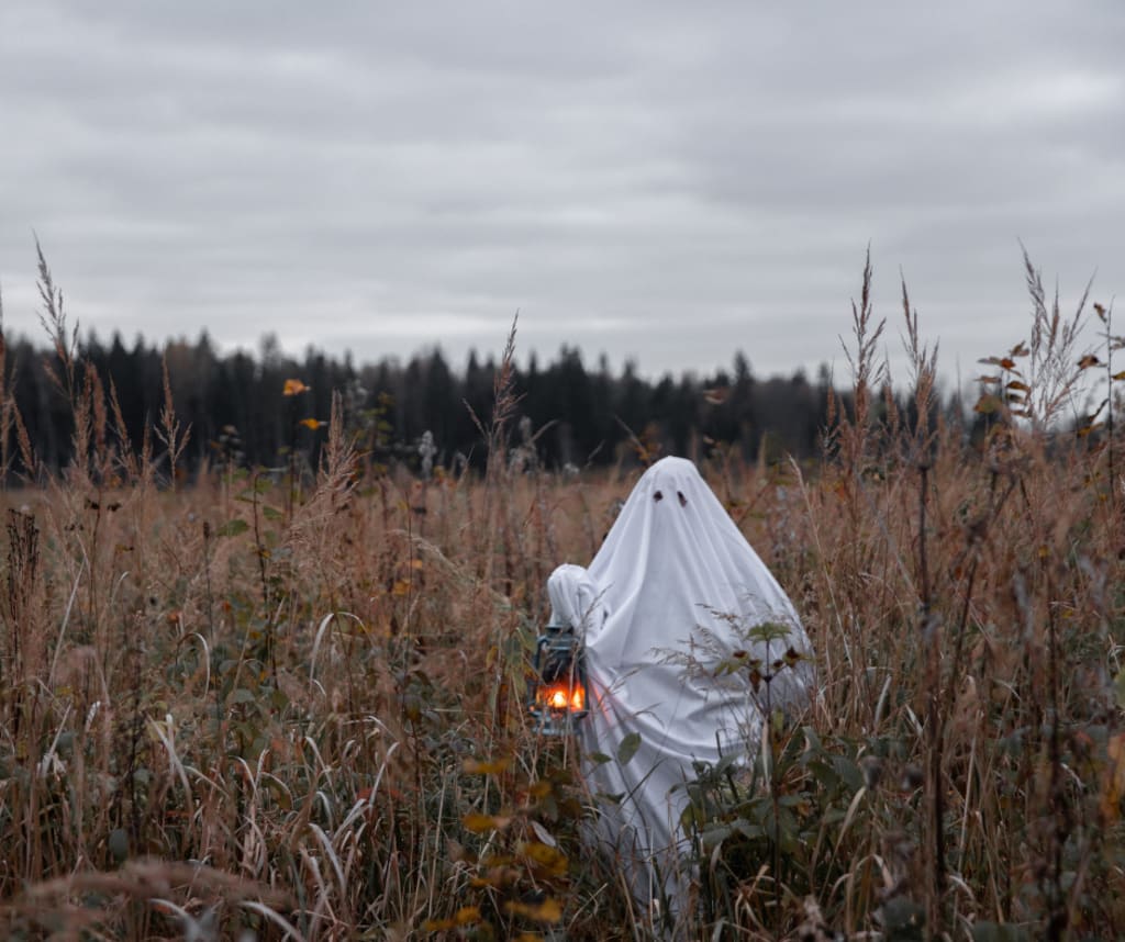 Fall Adventures Await: Your Ultimate Guide to October inception-app-prod/NzI4NWU0MGYtMjE5Zi00NjUzLTllM2QtZWQ5YWVmMDk1MWE3/content/2025/09/e09c9e4983eb343331b33c7f484ebf09f588752a.png