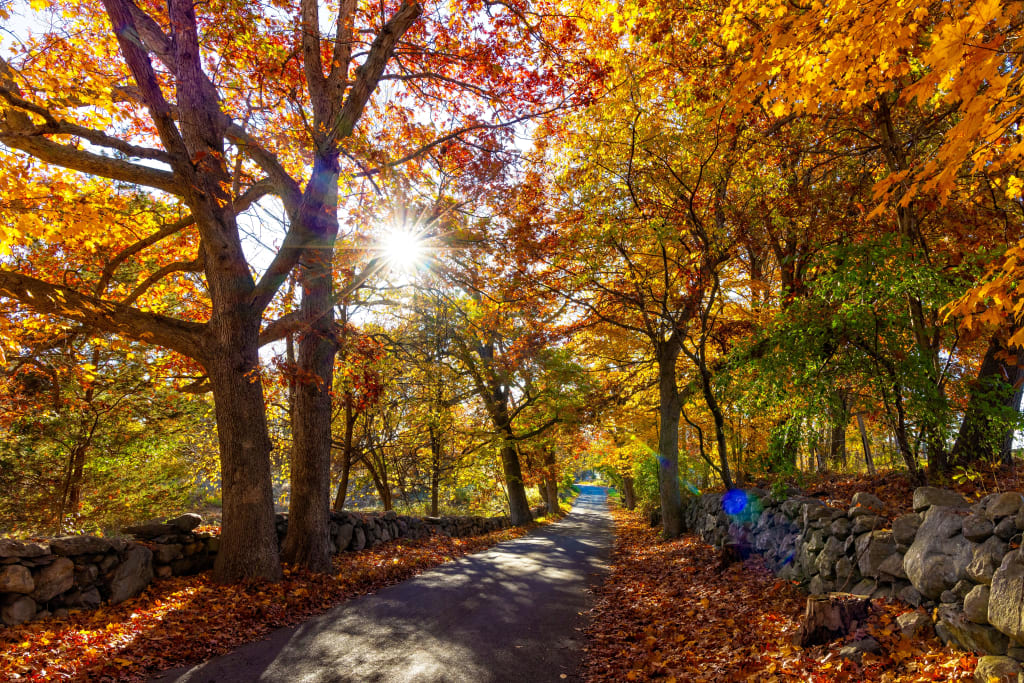 Western MA Fall Home Maintenance Checklist (Before Winter Hits) inception-app-prod/NzUzY2Y1YTMtMjgwYi00NTJkLWI5NGUtNTkxNGRhNjJkNDlh/content/2026/10/20476b5579d4b68c79eb13be2ae2fee29e503634.jpg