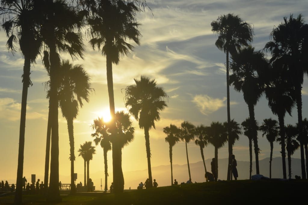 Living in Venice: From Venice of America to One of LA’s Most Valuable Beach Neighborhoods inception-app-prod/NzdjOWQ0ODEtMGI3My00NzFmLWI0NjctMjc0ODNmYjdiOWE0/content/2026/07/efdf29130440bf4a3d08d1258b3515f2fa11677c.jpg