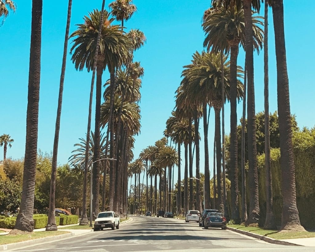 Beverly Hills Post Office inception-app-prod/NzdjOWQ0ODEtMGI3My00NzFmLWI0NjctMjc0ODNmYjdiOWE0/content/2026/08/a77abb3772d3e92b8271a6030fb301a92b42e5bc.jpg
