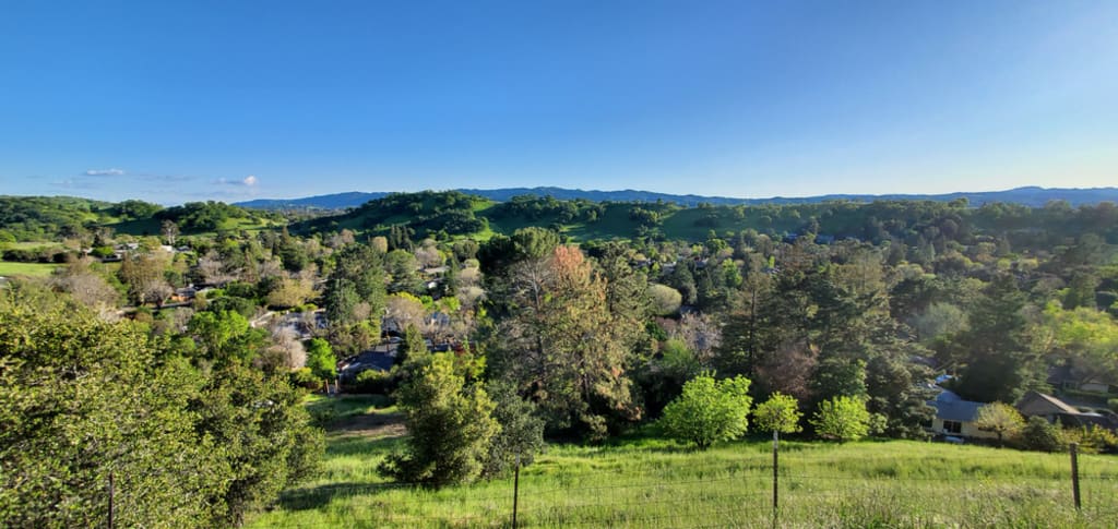 Walnut Creek Market Snapshot – May 2026 inception-app-prod/ODM0NWMzZjYtZTExYi00NGZkLWEwMmUtODhmMjhlNDZjNDUx/content/2026/06/0b97914a03e05e276face5b57b8bb507ab94faf7.jpg