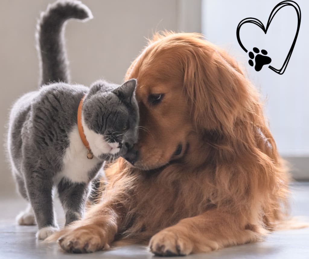 Selling a Home With Pets? Here’s What You Need to Know inception-app-prod/OGFmOWNiOGUtMzcxMi00ODZmLTlhYmQtZmE5OTBmNDRjOGE3/content/2025/05/84f567f83da9de500cc04fbc103eeb818f713d00.png