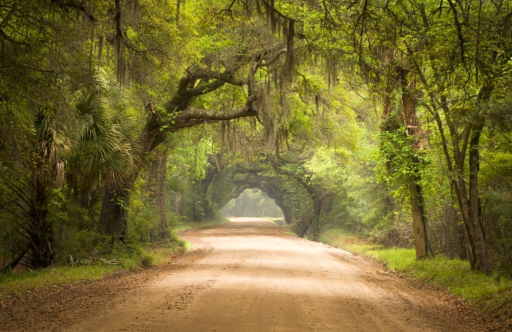 inception-app-prod/OGUwMjJmNzItMjI1MC00MGM3LWEwNjYtYmI1YmYwZTM2NjAy/content/2019/07/CHARLESTON LOWCOUNTRY LIFE.jpg