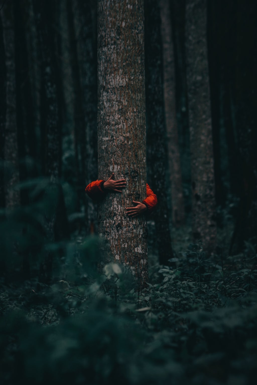 Best ROI by Going Green inception-app-prod/OTEwZDhiMjMtZjlhMi00OWJjLTg2NjktMTJiMTc3MmU2MmYy/content/2018/03/ramdan-authentic-490594-unsplash.jpg