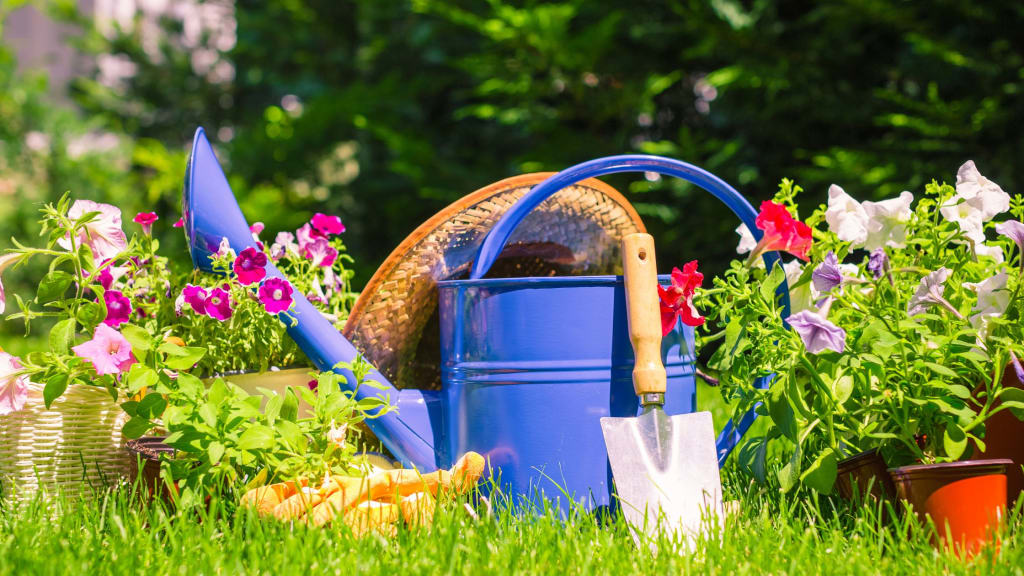 Gardening Tips for National Gardening Day inception-app-prod/OTQwMjE4M2YtZmYzOS00YTlkLWFiOWEtZjRkM2VlN2ZjYmRm/content/2023/04/55685c37f47aa08688e4411af4f0e0941e0f79a4.jpg