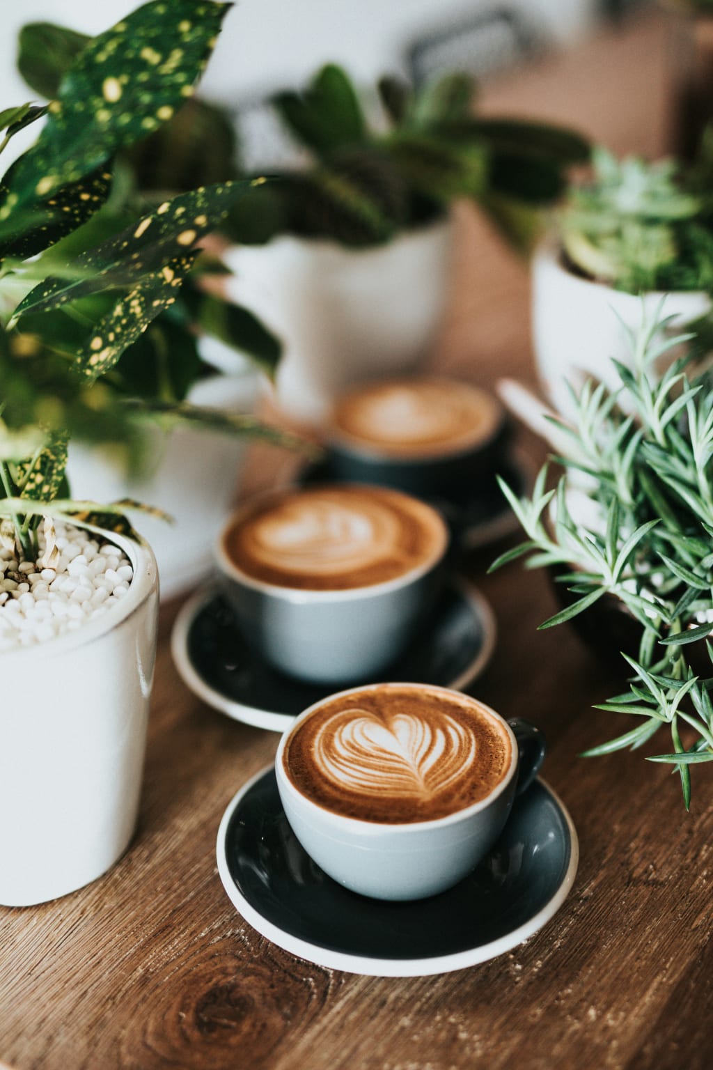 10 Must-Visit Coffee Shops in Raleigh, NC inception-app-prod/Y2I4NTQ5ZjEtYTc0Zi00ODAyLWJhNzUtNDYzYTU5MTJlNjdm/content/2025/03/14598e35cb92d46781aa6739e11c2627043da364.jpg