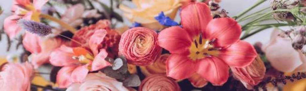 Create a Stylish Home with May Bouquets inception-app-prod/Y2RhODZkZWMtMDRjZi00YmEzLWFiZTMtMTMzZDlkNTdhYzcw/content/2025/05/d57fe3c0261870d3c18b62acefb097872a6ca656.png