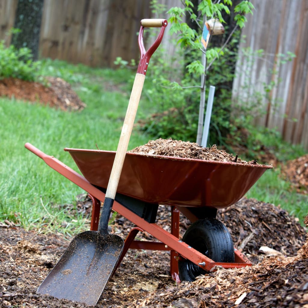 Prepping Your Yard for Fall and Winter in Greater Seattle inception-app-prod/Y2RkN2E3YmItNjk5Zi00YzM1LTlkMWUtMDUyZmJmZGVhNGIx/content/2025/09/97731daf4a9cfa1500e0f98b893a5742d395cb0b.jpg