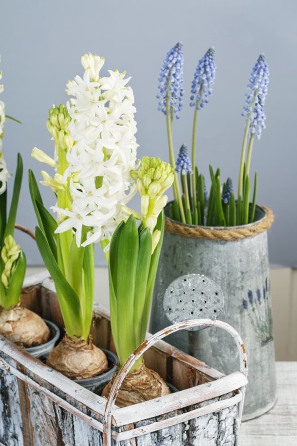 ADD A SPRING TOUCH TO YOUR HOME inception-app-prod/Y2UwNmU5ODUtYzYyOC00NDY0LWE5ZGYtNzA0MDU2MWNhODc0/content/2019/04/shutterstock_739748296.jpg