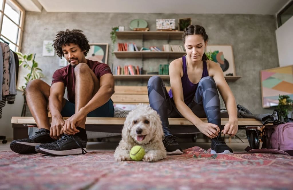 Home Improvement Design Ideas for The Sporty Household inception-app-prod/YTUzNjAxNjktODNkMS00MThiLWFlYzEtMGI2YThmYjdiZmVl/content/2022/07/2557c539508acceeefc73b4c5a64643f682c0ba3.jpg