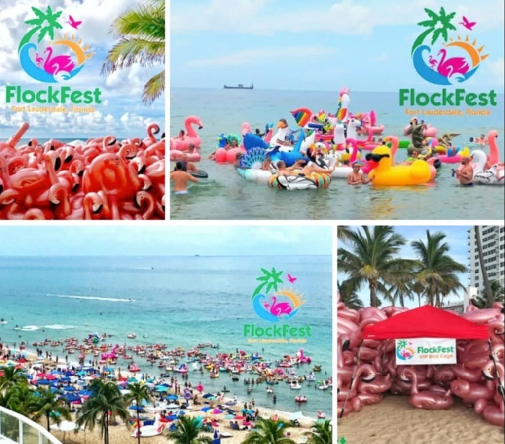 Fort Lauderdale FlockFest Showing you the way home