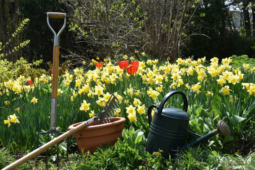 Spring Home Maintenance Checklist for Horry County Homeowners inception-app-prod/YWU5YmIxYTAtZjkzZS00NzllLWFjNWEtZTcwYzZlZjIyOTc1/content/2026/09/e0551a47c854266fa1281dd60489c353bbefe3ee.jpg