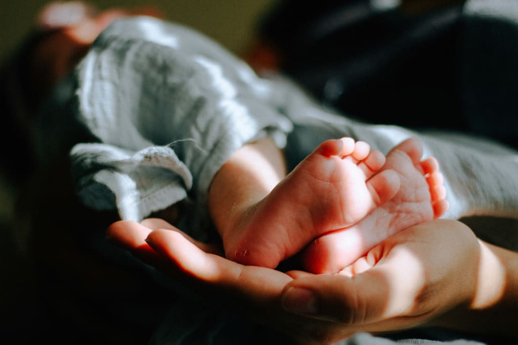 For New Colorado Parents - What to do Next inception-app-prod/YjI2NjU1NjMtMWQwNy00NDA3LTk4ZjItM2ZkM2UzMTVlNjQ0/content/2026/09/b731a93b9488012394d34b58720be1d55e20ccce.jpg