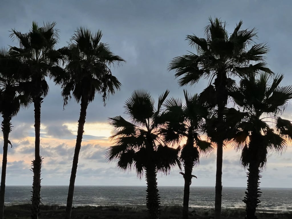 Best Neighborhoods in Fernandina Beach, Amelia Island inception-app-prod/YzAzYjdmMWUtZmJmYy00YmE5LThjMmUtMDRmMmY1ZGRiYWFi/content/2026/06/a6b95fa516ff59123ba143aed7fc871eceba7b81.jpeg