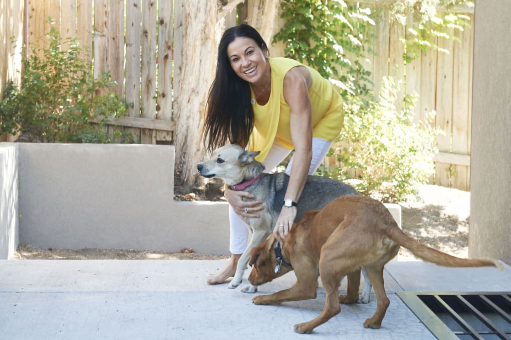 Meet Sinead - Single Mom, Professional Nutritionist and Real Estate Investor inception-app-prod/YzNkYmNhNzMtYTJhOS00ZmE3LTgxYTgtODI3MjRlNDU2NzRi/content/2023/06/95946857c34a58fa588296cfb483f1c2e1f4f2b7.jpg