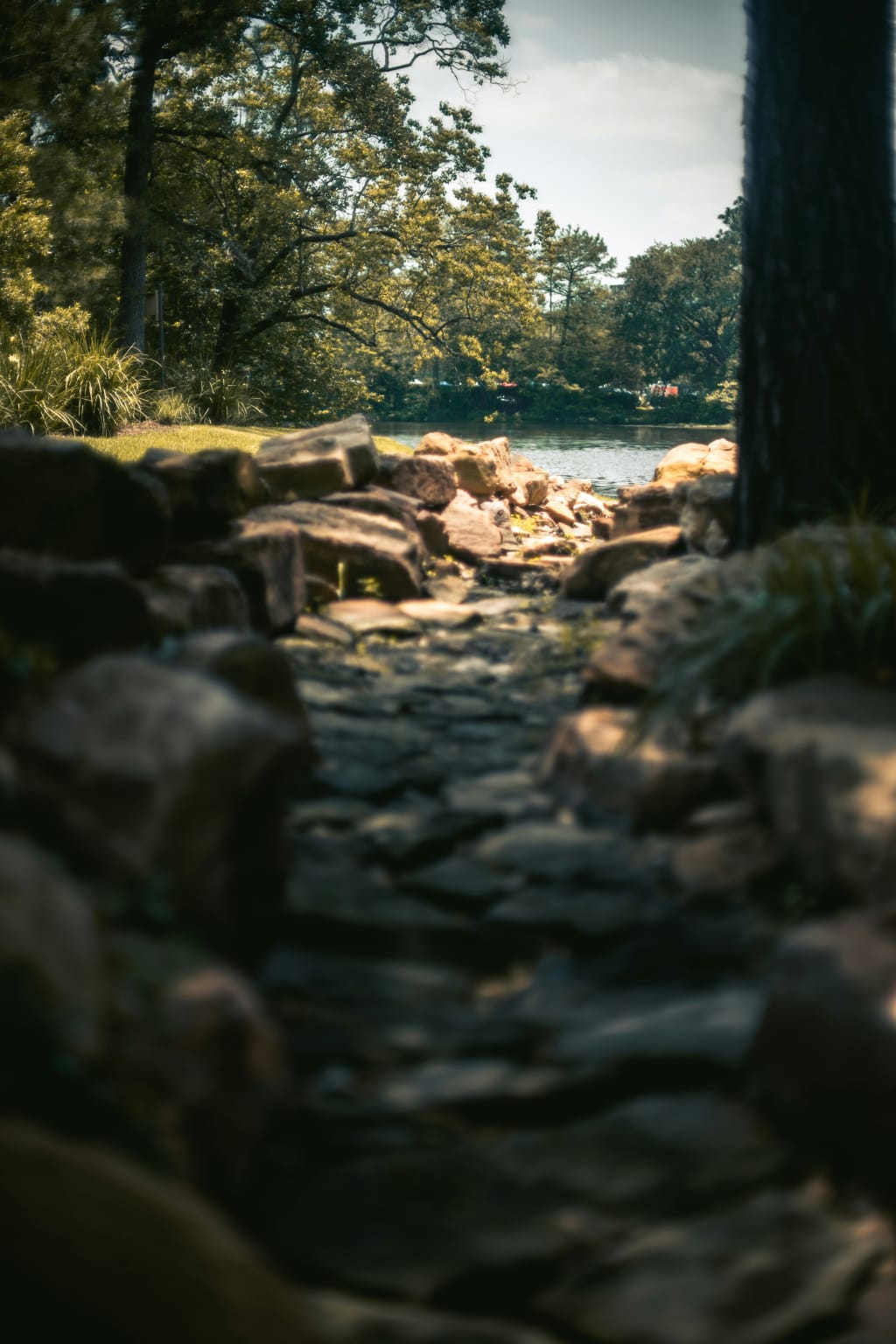 inception-app-prod/ZDE4YmMyNTMtODRiYS00OWMxLWI4MjUtNzFjNjNkNzVjZGNj/content/2026/07/197522f0cf0be058d47049d5b05ba59d8d6f2ed5.jpg