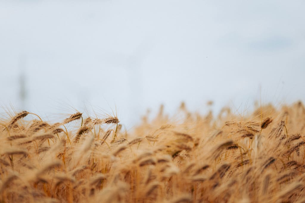 COLFAX inception-app-prod/ZDFmNTA0NWMtNjI3Yy00Mzk5LTk0YmItMDkwNDcwNDBhY2Q5/content/2023/07/7f64625715d3329eba857de6040874d50c1354ac.jpg