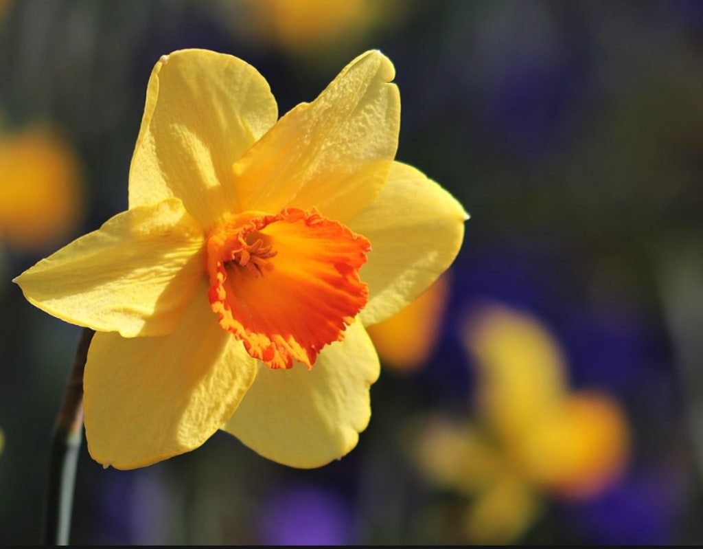 inception-app-prod/ZDFmOWMzYTktNzU4Zi00YTIzLTk3MjYtYThkN2JkMGVlYzA3/content/2019/06/Screen Shot 2019-06-14 at 10.54.07 AM.png